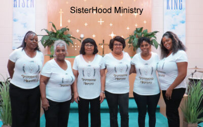 Sisterhood Ministry